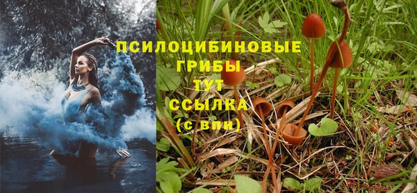 МДПВ Балахна