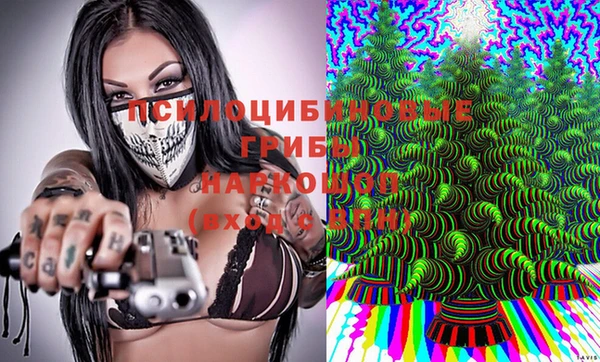 МДПВ Балахна
