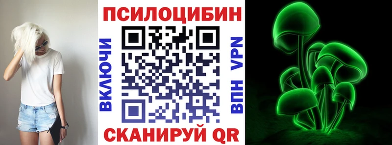 дарнет шоп  Зверево  Галлюциногенные грибы мицелий 